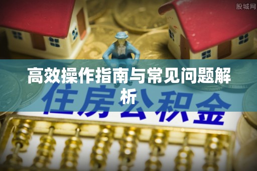 神池高效操作指南与常见问题解析