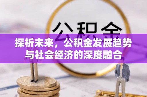 神池探析未来，公积金发展趋势与社会经济的深度融合