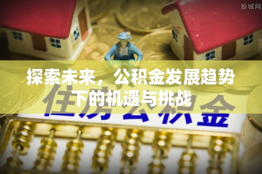 神池探索未来，公积金发展趋势下的机遇与挑战