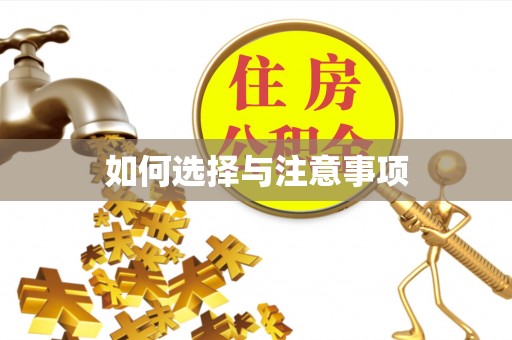 神池如何选择与注意事项
