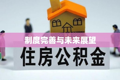 神池制度完善与未来展望