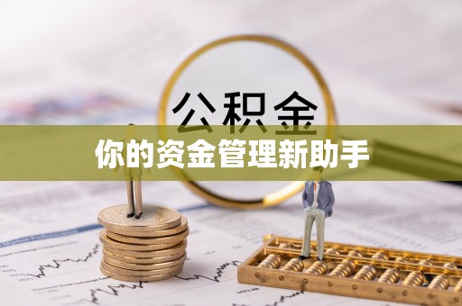 神池你的资金管理新助手