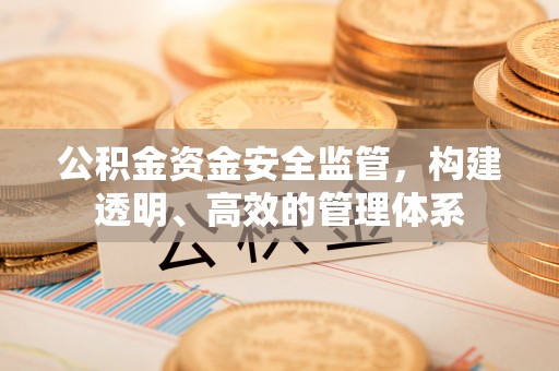 神池公积金资金安全监管，构建透明、高效的管理体系
