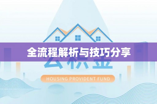 神池全流程解析与技巧分享